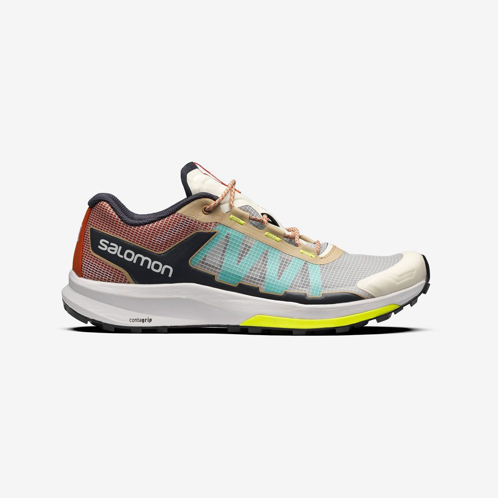 Zapatillas Salomon Hombre Multicolor - Salomon Argentina ULTRA RAID,476052-ZXJ